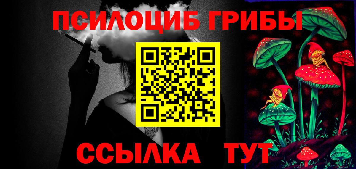 Псилоцибиновые грибы Cubensis Бор